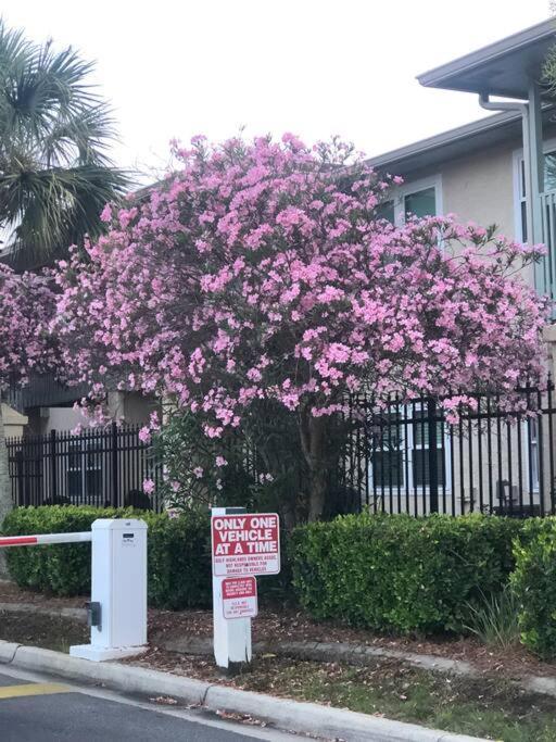 Happy Heron, Steps To Beach Apartment Panama City Beach Exterior photo